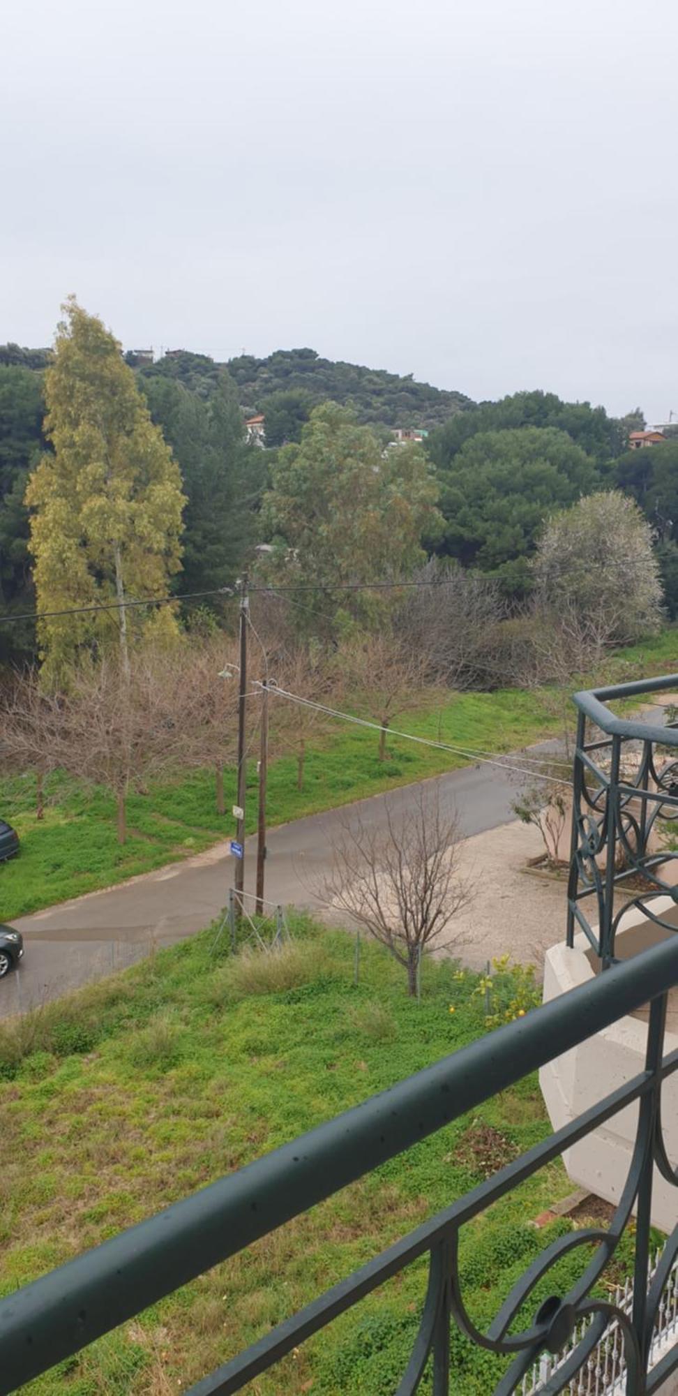 Spacious Country Apartment Brauron